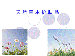 药妆与护肤(lu).ppt