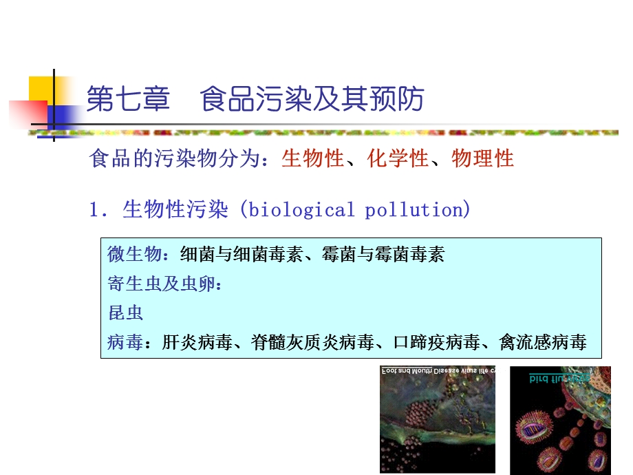 《食品污染及其预防》PPT课件.ppt_第3页