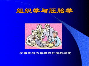 《组织学与胚胎学》PPT课件.ppt