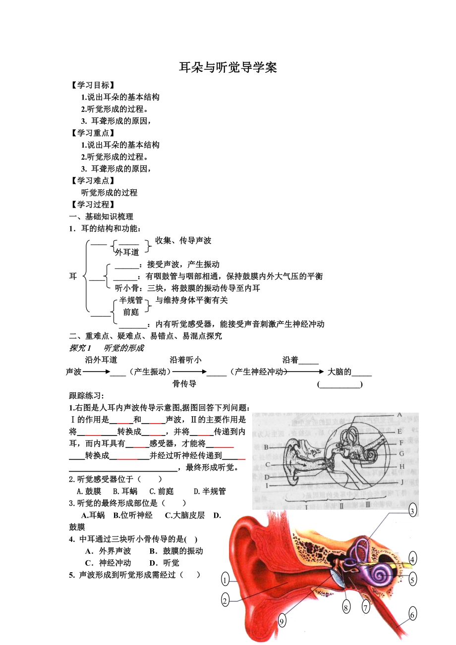 耳朵与听觉导学案肖鹏.doc_第1页