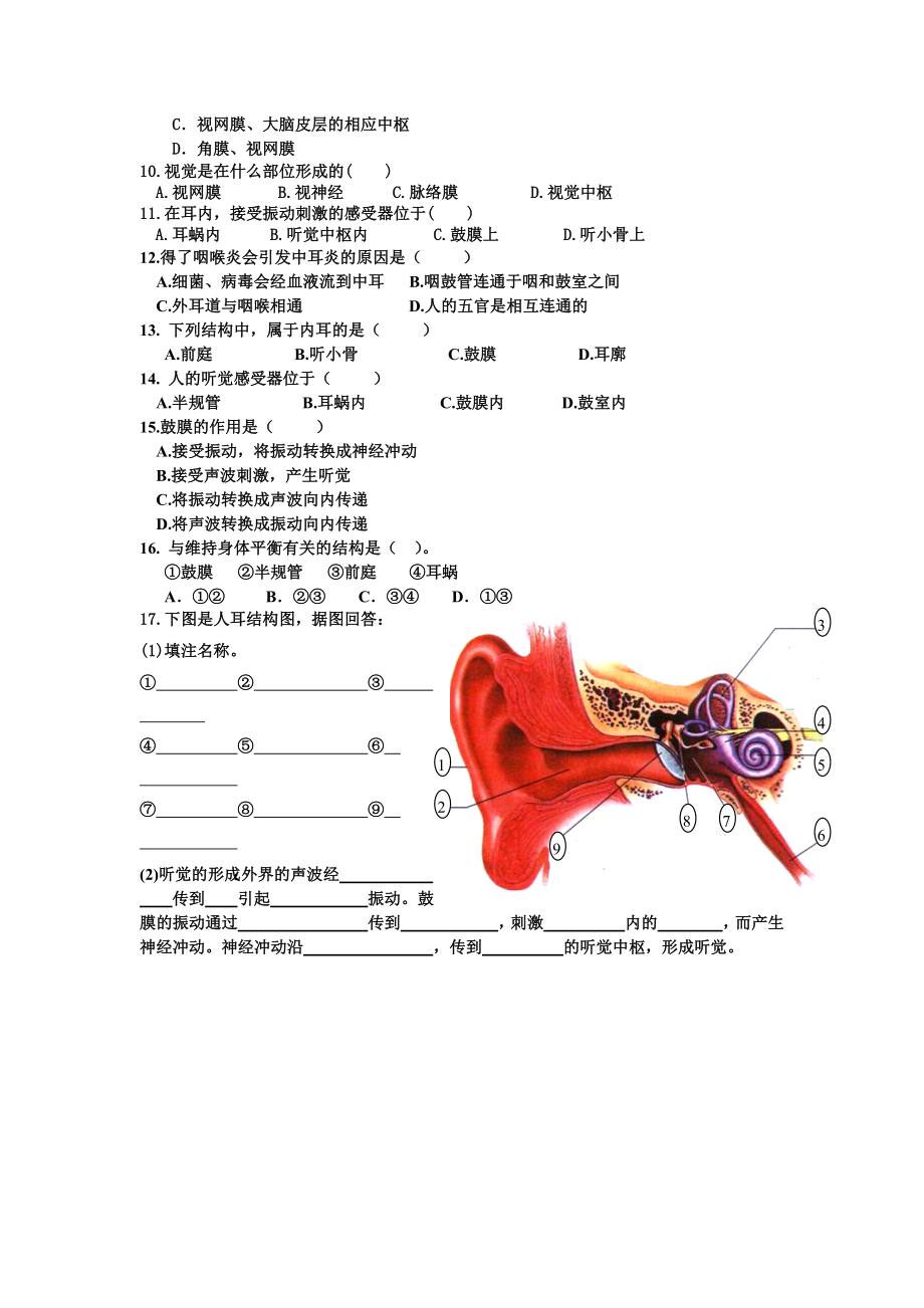 耳朵与听觉导学案肖鹏.doc_第3页