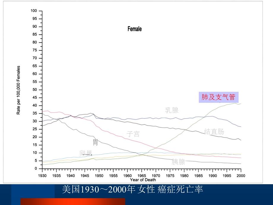 《肺癌本科》PPT课件.ppt_第3页