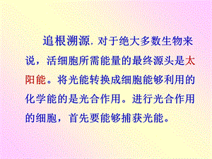 《色素提取和分离》PPT课件.ppt