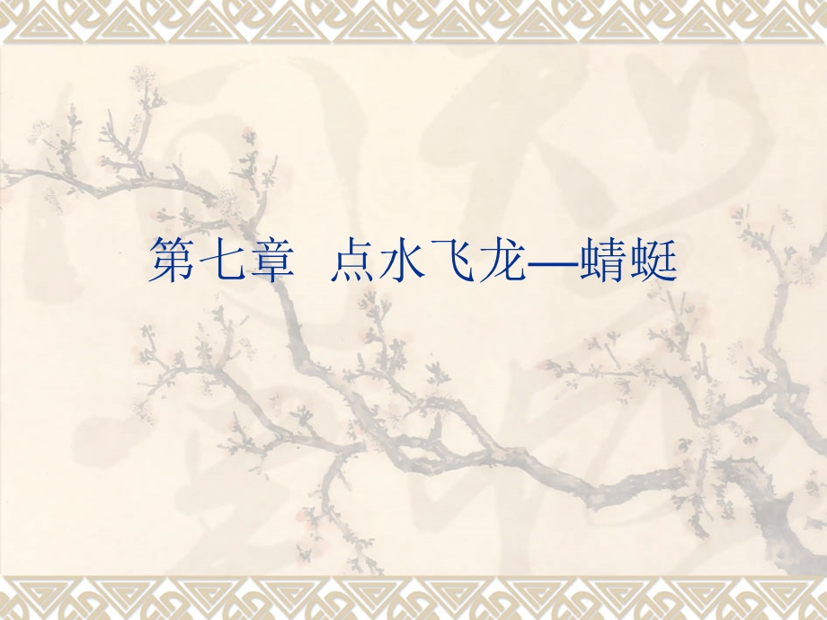 《点水飞龙蜻蜓》PPT课件.ppt_第1页