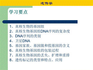 遗传与发育.ppt