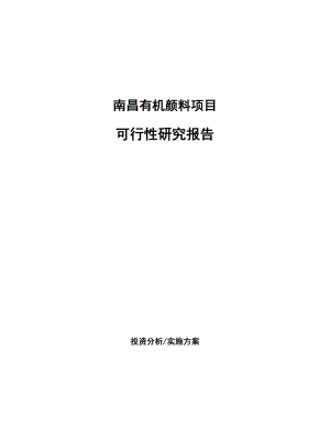 南昌有机颜料项目可行性研究报告.docx