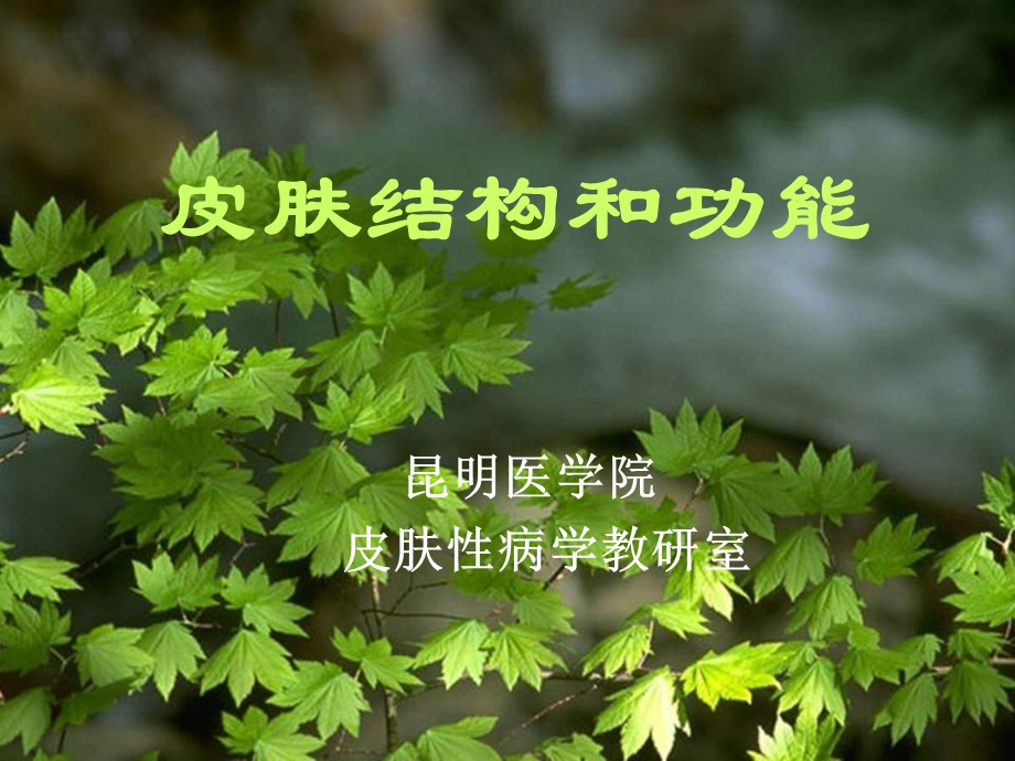 《皮肤的结构与功能》PPT课件.ppt_第1页