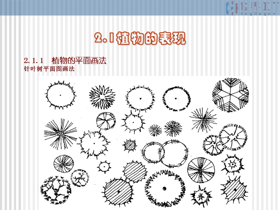 园林制图第二章.ppt_第3页