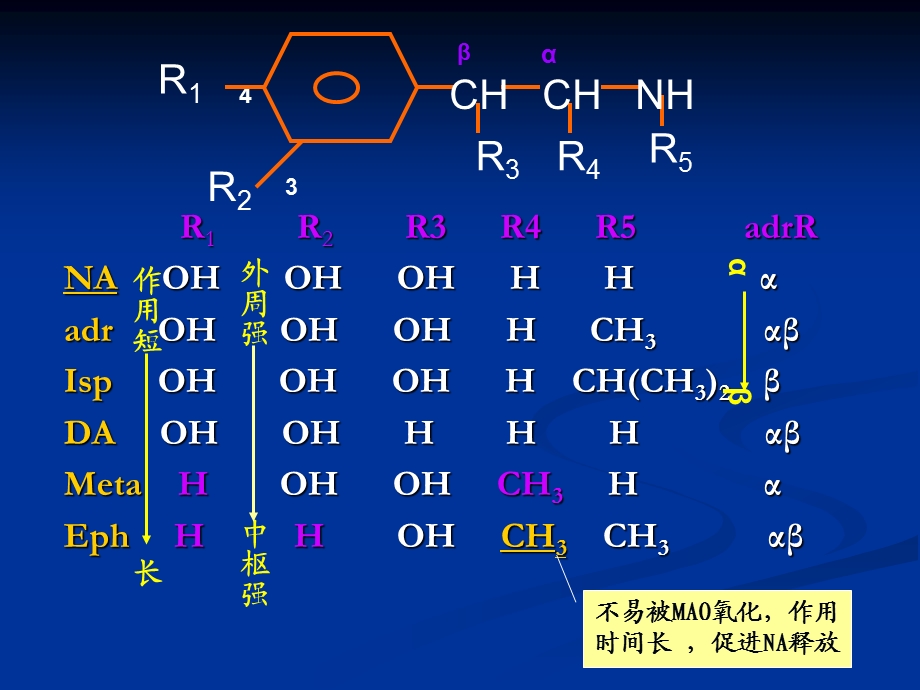 药理学 肾上腺素受体激动药.ppt_第3页