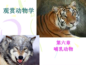 《观赏动物学》PPT课件.ppt