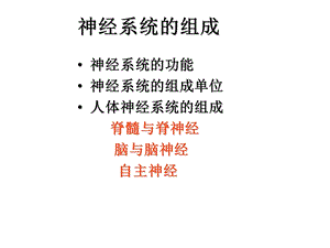 《神经系统组成》PPT课件.ppt