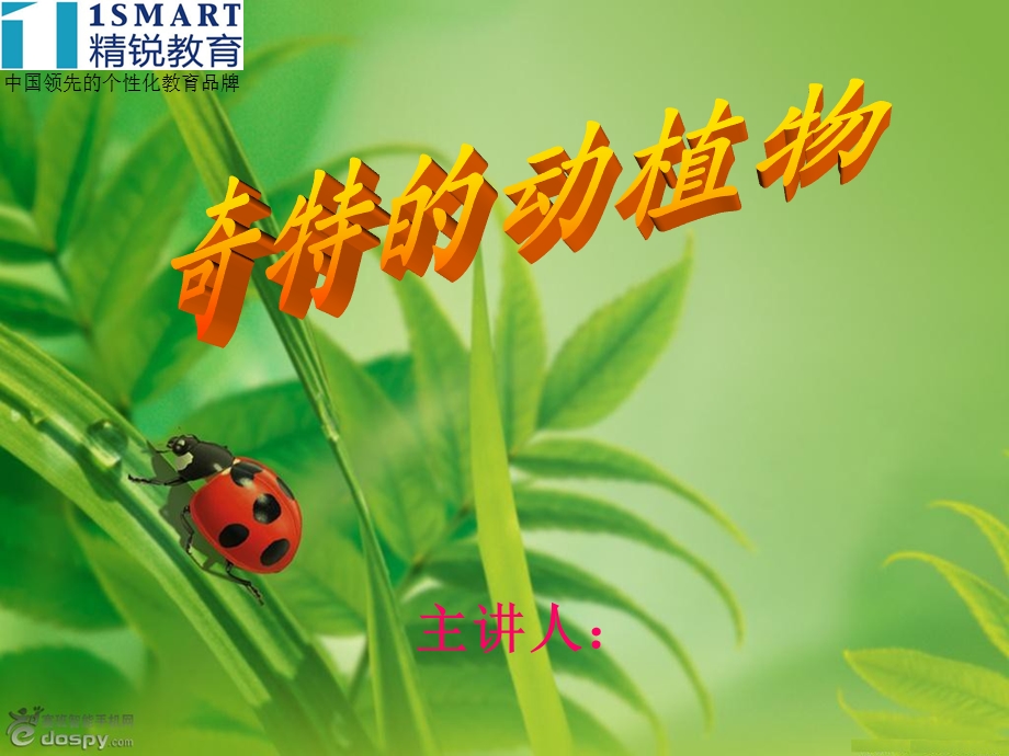 《奇特的动植物》PPT课件.ppt_第1页