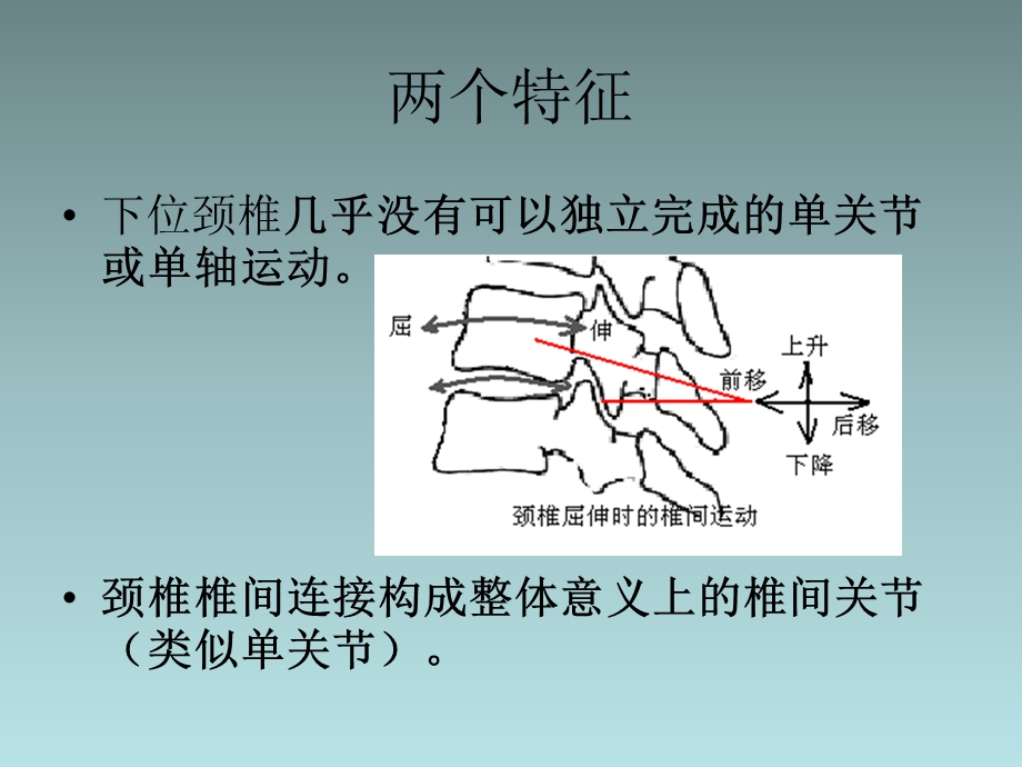 《位颈椎椎间关节》PPT课件.ppt_第3页