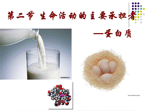 选用2.2 生命活动的主要承担者—蛋白质.ppt