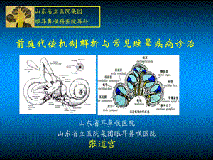 前庭代偿机制解析与常见眩晕疾病诊治张道宫.ppt