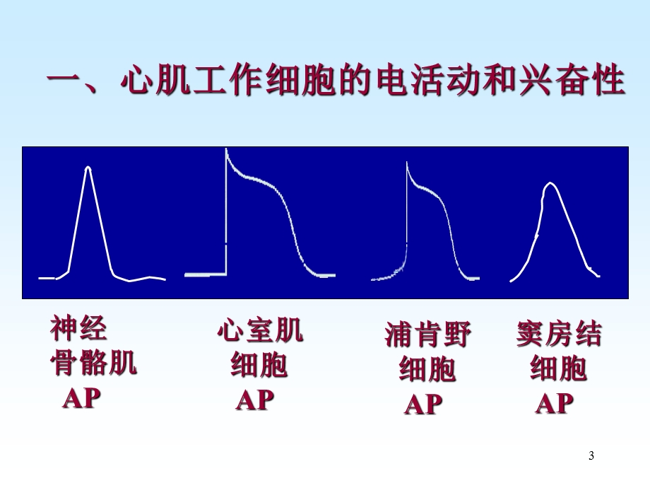 《医检卫检本科循环》PPT课件.ppt_第3页