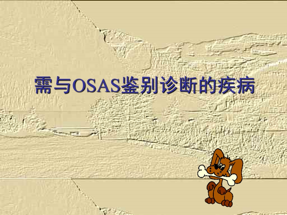 sas常见问题 ppt课件.ppt_第3页