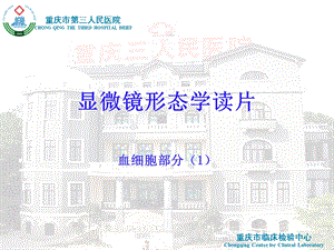 《血液形态学》PPT课件.ppt