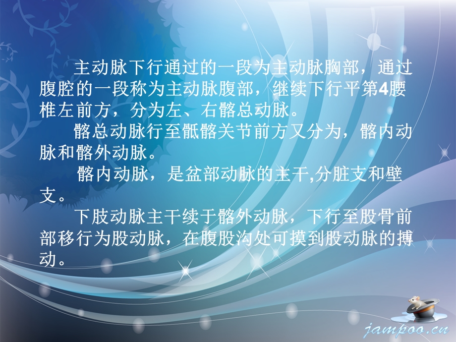 《髂总动脉闭塞》PPT课件.ppt_第3页