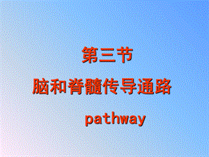 《脑和脊髓传导通路》PPT课件.ppt