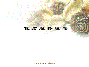 《理念的量化》PPT课件.ppt