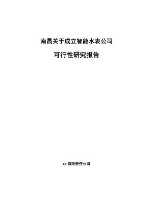 南昌关于成立智能水表公司可行性研究报告.docx