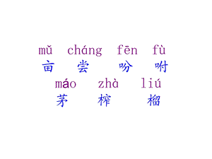 《落花生生字》PPT课件.ppt