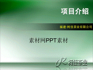 《项目介绍模板》PPT课件.ppt