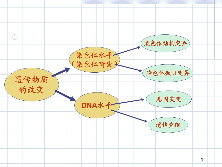 《遗传物质改变》PPT课件.ppt_第3页