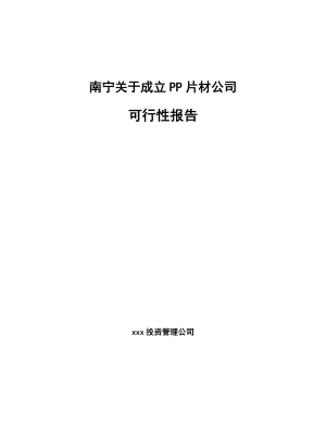 南宁关于成立PP片材公司报告.docx