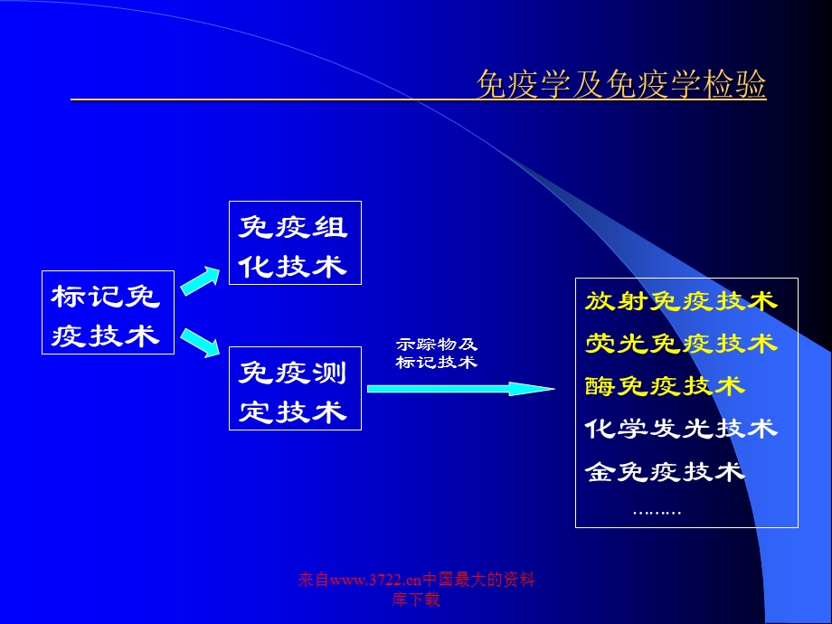 《标记免疫技术》PPT课件.ppt_第3页