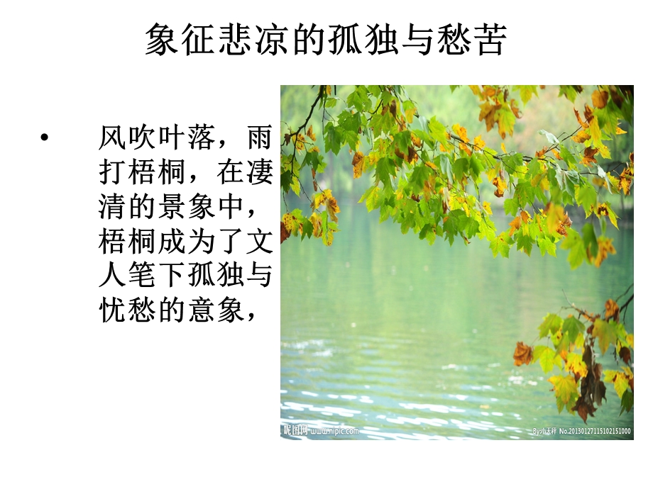 《梧桐的象征意义》PPT课件.ppt_第2页