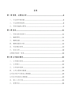 南京内衣产品项目可行性研究报告.docx