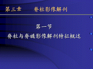 《脊柱影像解剖》PPT课件.ppt