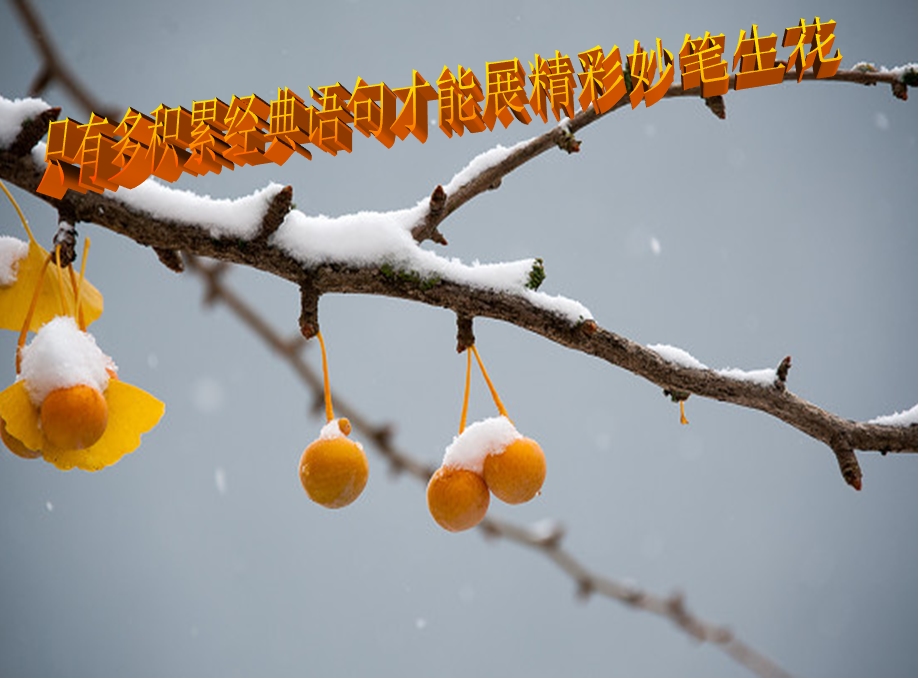 《雪景看图写话》PPT课件.ppt_第1页