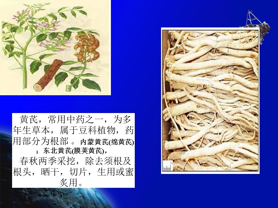 《黄芪的临床应用》PPT课件.ppt_第2页