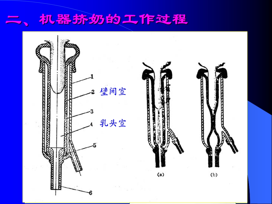 《养牛机械设备》PPT课件.ppt_第3页