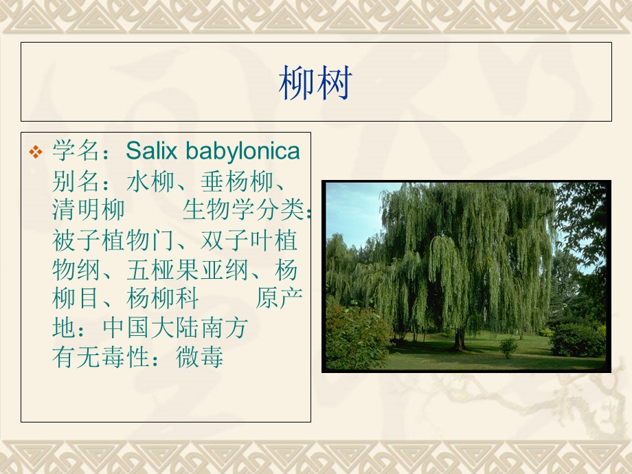 《诗词中的花卉》PPT课件.ppt_第3页