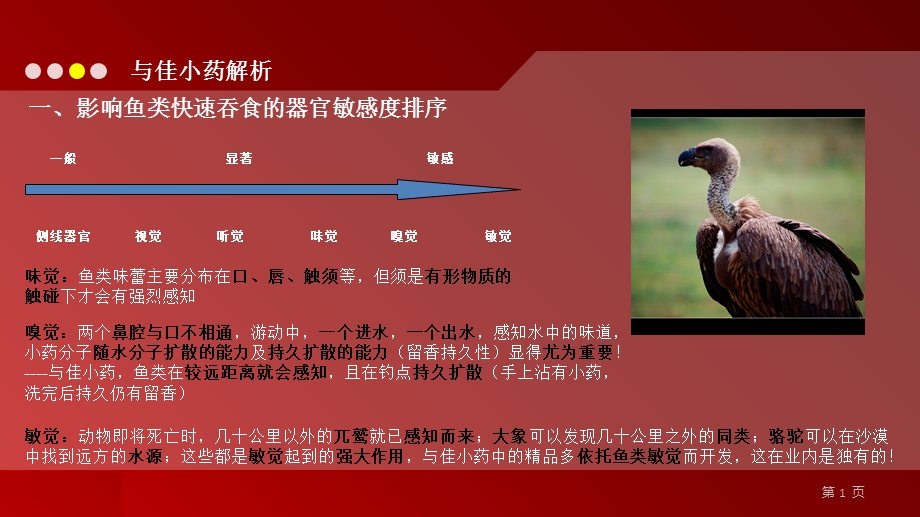 《与佳小药解析》PPT课件.ppt_第1页