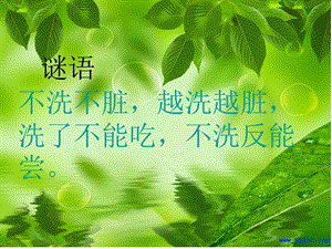 《清清家乡水》PPT课件.ppt