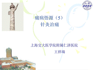 针灸治痛.ppt