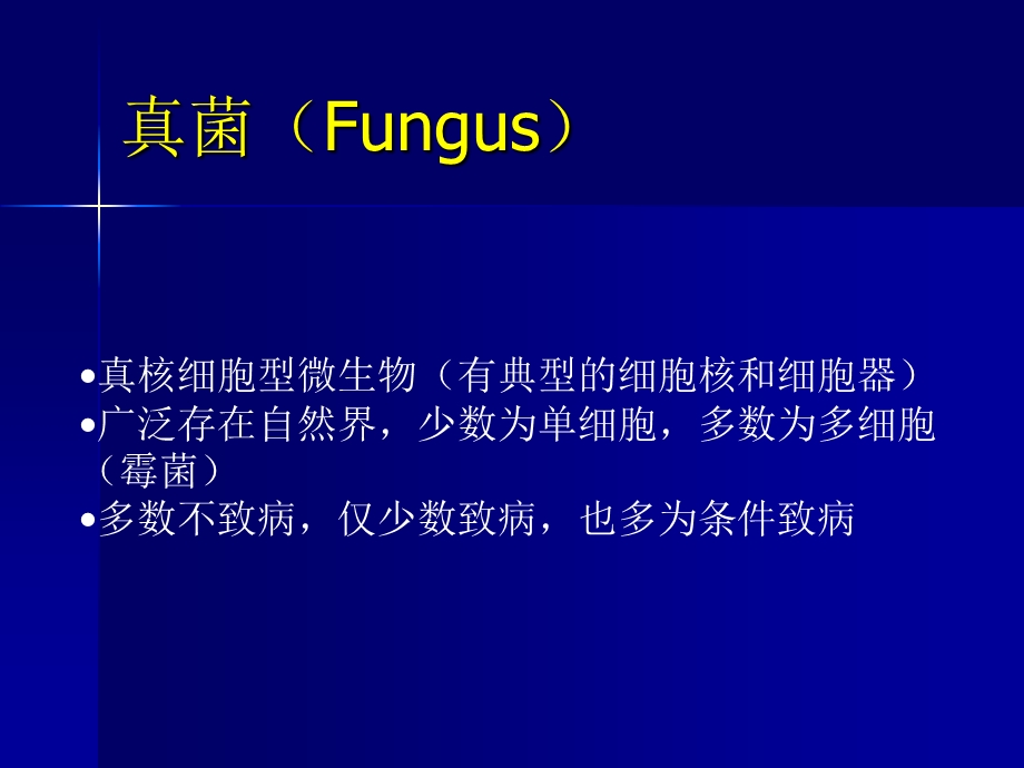 真菌Fungus课件.ppt_第1页