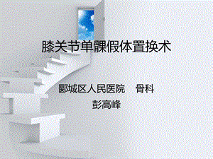 《单髁置换术》PPT课件.ppt