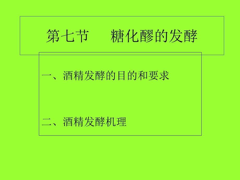 《糖化醪的发酵》PPT课件.ppt_第1页