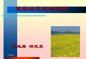 《直播油菜栽培技术》PPT课件.ppt