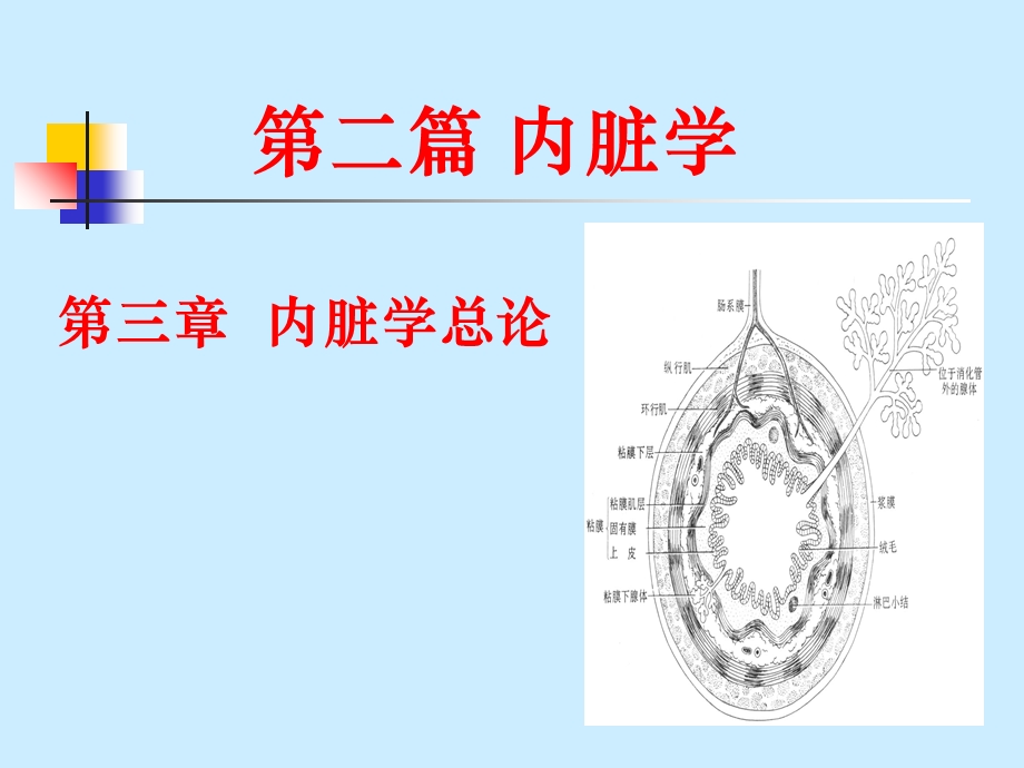 《组织胚胎》PPT课件.ppt_第1页