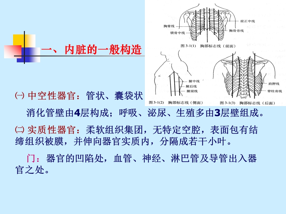 《组织胚胎》PPT课件.ppt_第3页