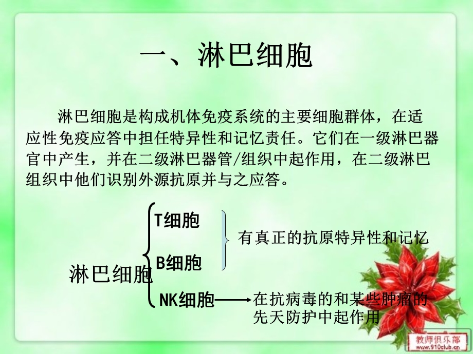 《适应性免疫系统》PPT课件.ppt_第3页