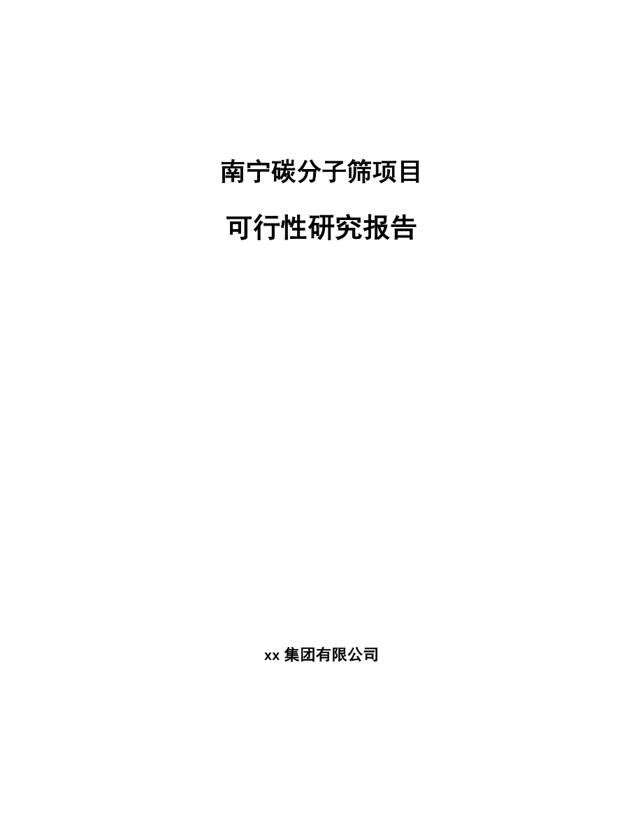 南宁碳分子筛项目可行性研究报告.docx_第1页