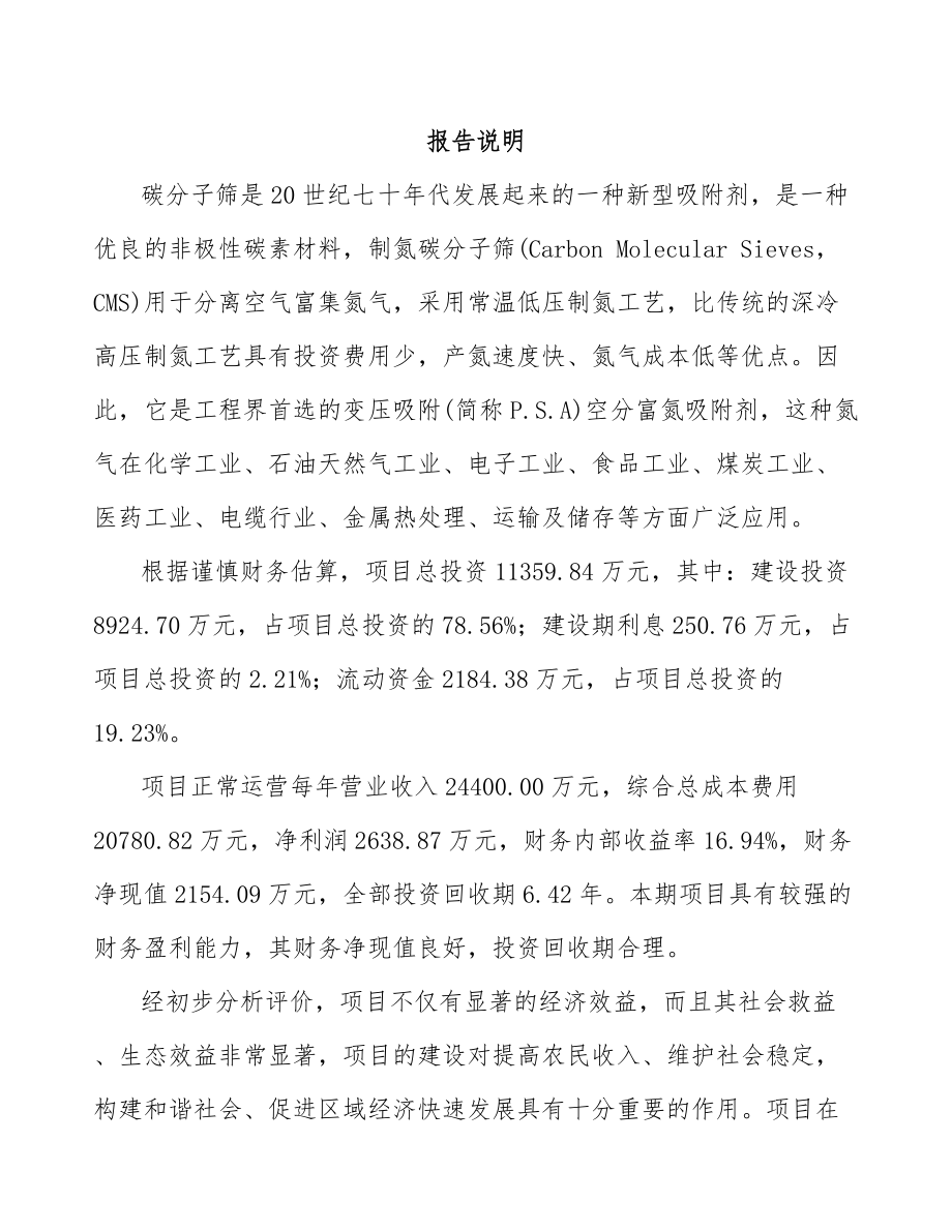 南宁碳分子筛项目可行性研究报告.docx_第2页